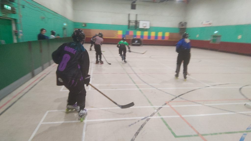 Wild Lions Women’s Inline Hockey Training